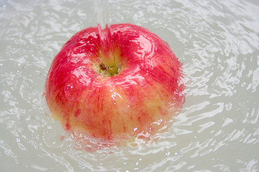 Similar image 820881