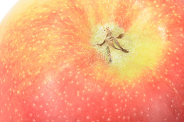 Similar image 820909