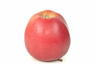 Similar image 820911