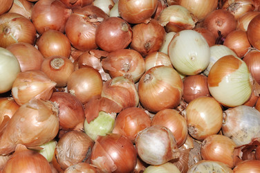 Similar image 820924