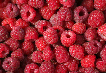 Similar image 820943