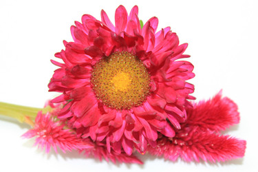 Similar image 820981