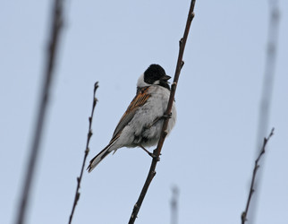 Similar image 820982