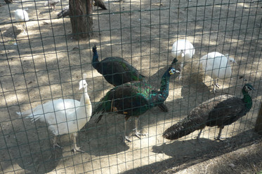 Similar image 820998