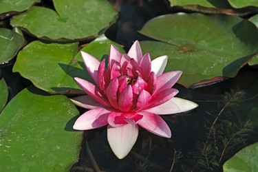 Similar image 821008