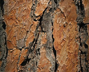 Similar image 821025