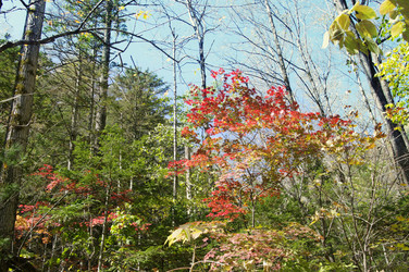 Similar image 821078