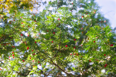 Similar image 821079