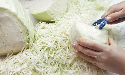 Similar image 821129