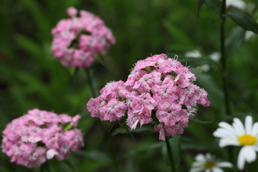 Similar image 821135