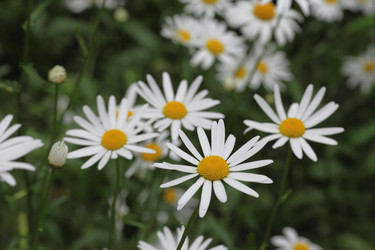 Similar image 821136