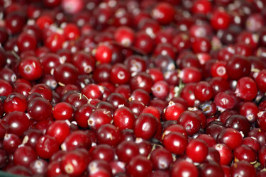 Similar image 821138