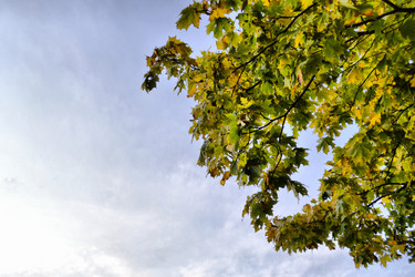 Similar image 821152