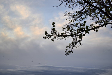 Similar image 821153