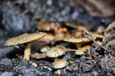 Similar image 821159