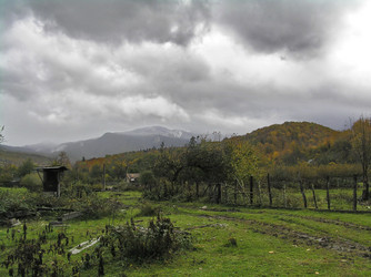 Similar image 821181