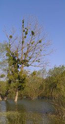 Similar image 821194