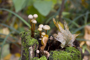 Similar image 821245