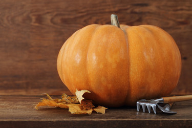 Similar image 821255