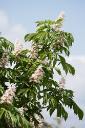 Similar image 821300