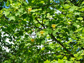 Similar image 821304