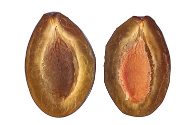 Similar image 821398