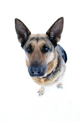 Similar image 821400