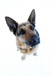 Similar image 821401