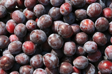 Similar image 821415