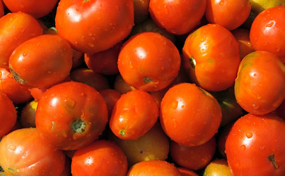 Similar image 821416