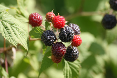 Similar image 821420