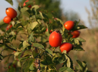 Similar image 821421