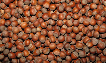 Similar image 821449