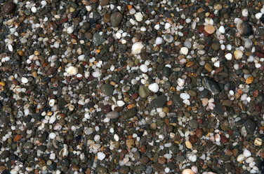 Similar image 821450