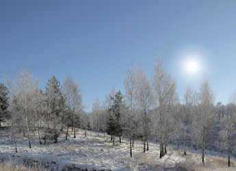 Similar image 821467