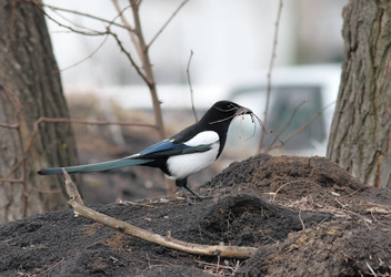 Similar image 821477