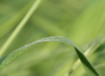 Similar image 821480