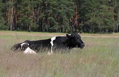 Similar image 821483