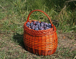 Similar image 821492