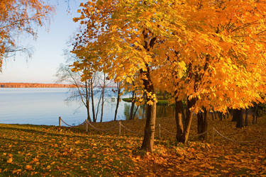 Similar image 821604