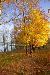 Similar image 821611