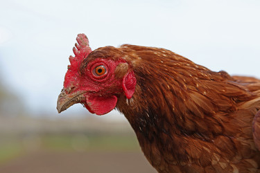 Similar image 821624