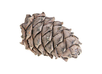 Similar image 821640