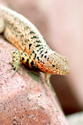 Similar image 821662