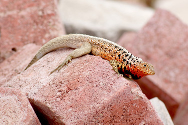 Similar image 821663