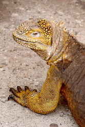 Similar image 821666