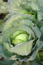 Similar image 821678