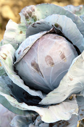 Similar image 821679