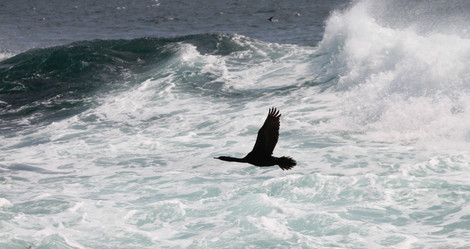 Similar image 821688