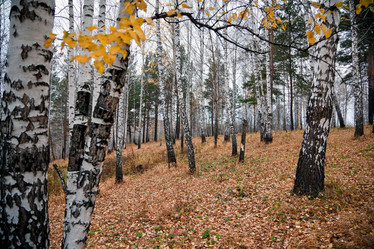 Similar image 821705